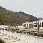 數智漁業賦能基層民生 國漁綠色智慧漁業工廠築牢食品安全與鄉村振興根基